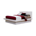 Jessica Contemporary White Queen Bed - One Stop Furniture
