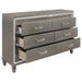 Homelegance Tamsin Dresser in Silver Grey Metallic 1616-5 - One Stop Furniture