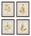 Dyani - Wall Art Set (4/cn) image