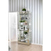 Carrollton Chrome Curio Cabinet image