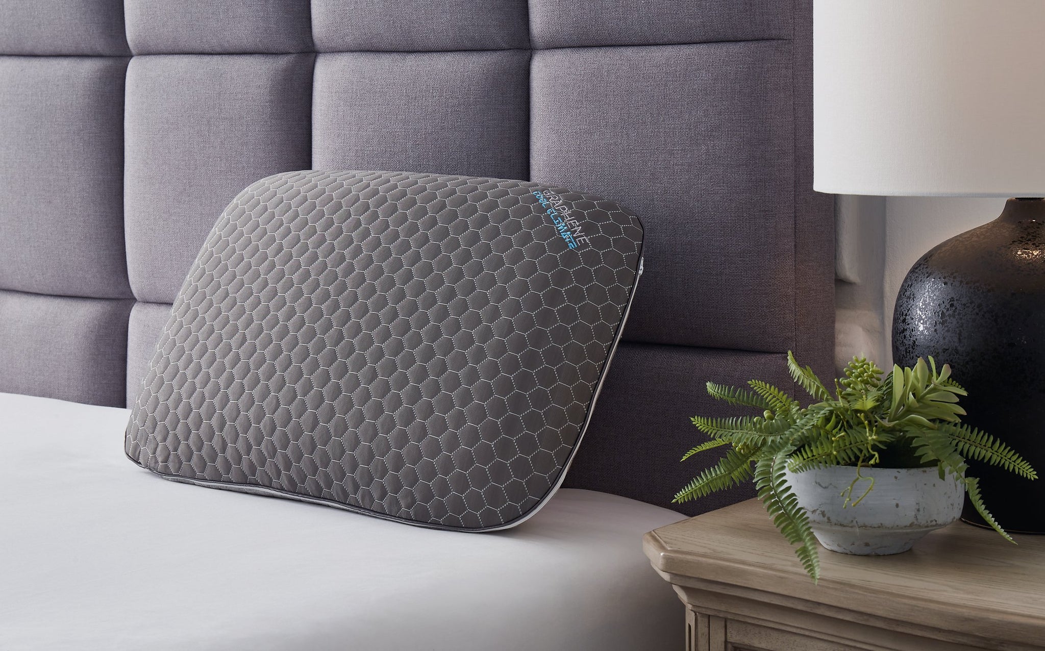 Zephyr 2.0 3-in-1 Pillow (6/Case)